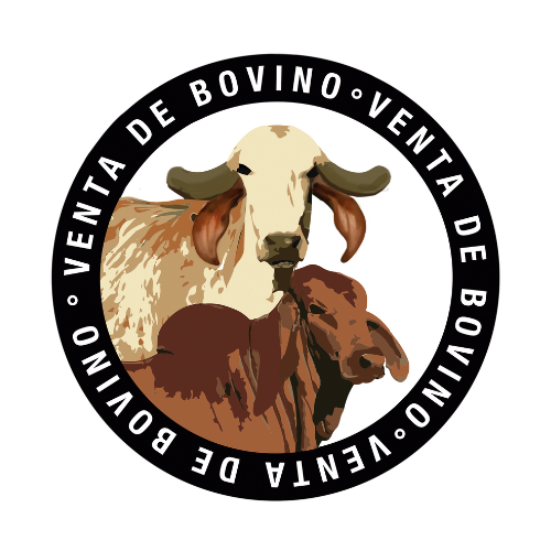 Venta de Bovino